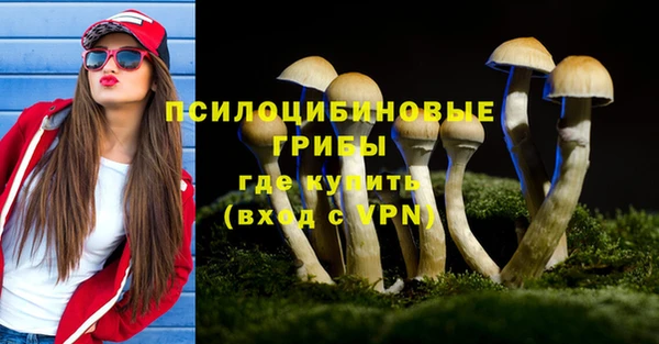 соль курить ск Верея