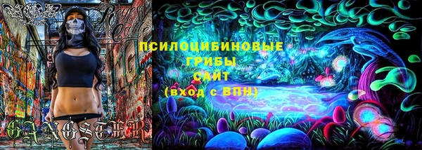 бошки Верхний Тагил
